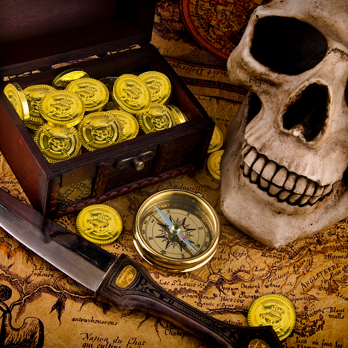 20/40pcs Pirate Coins Plastic  - Token Coin Mechanism 评论和价格