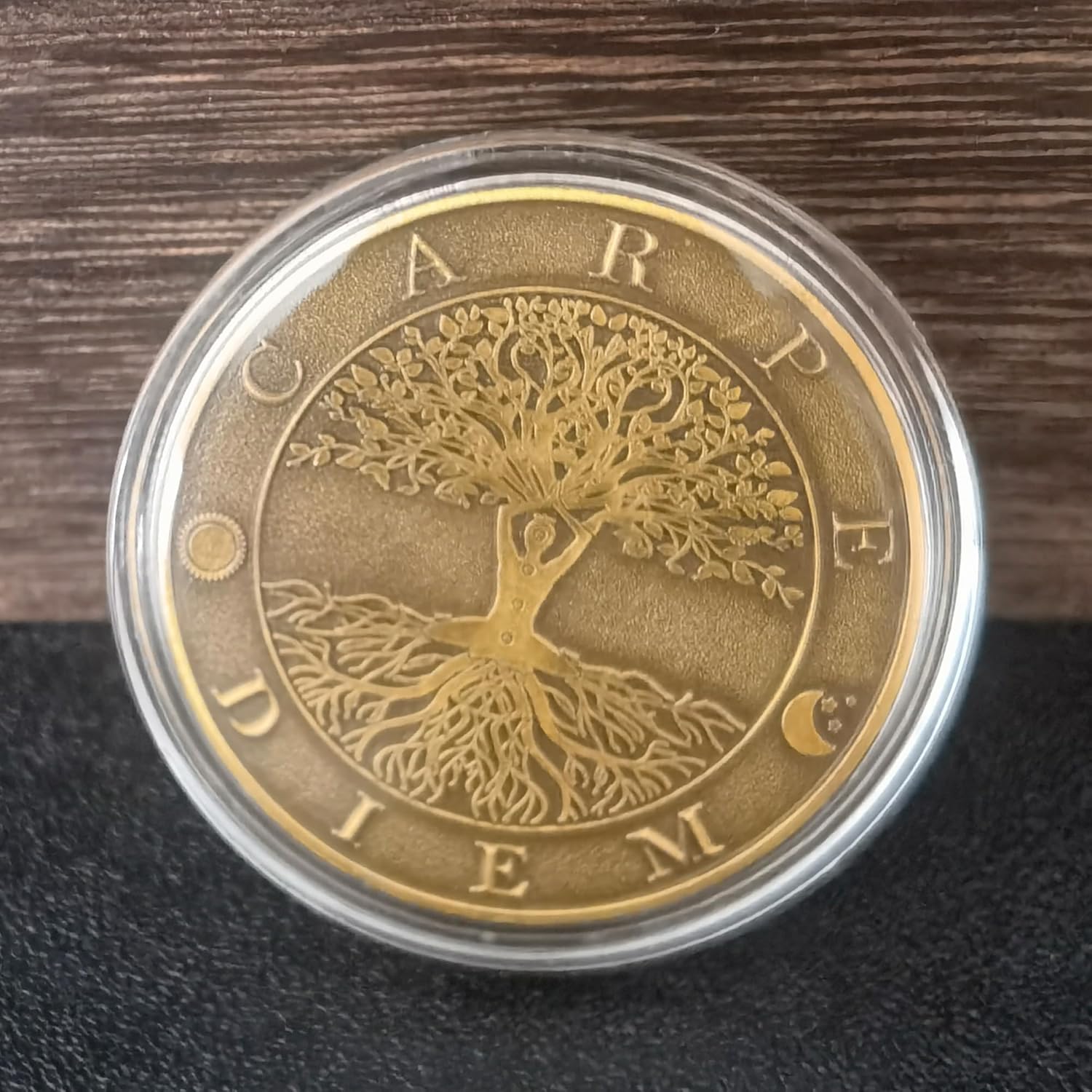 Memento Mori Carpe Diem Coin S - Token Coin Mechanism 评论和价格